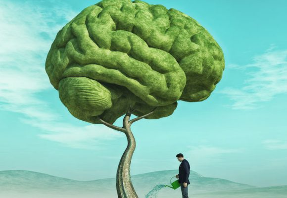 La flexibilité cognitive et la déduction concrète chez la personne autiste La flexibilité cognitive et la déduction concrète chez la personne autiste
