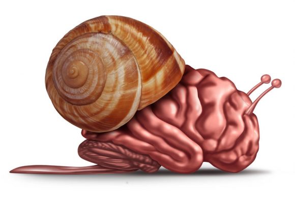 Les biais cognitifs Les biais cognitifs