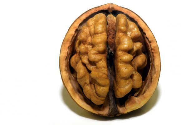 Les biais cognitifs tome 2 Les biais cognitifs tome 2